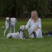 Krobielowice 2023 po zdobyciu CACIBA i Res CACIBA na sesji fotograficznej przy zamku Bluchera
